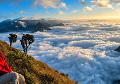 Best Jeep Safari in Munnar
