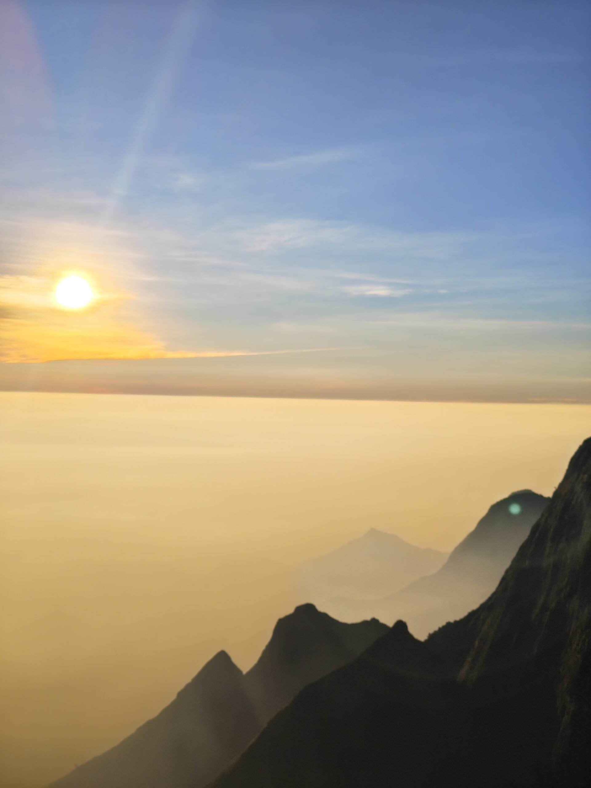 banner-image