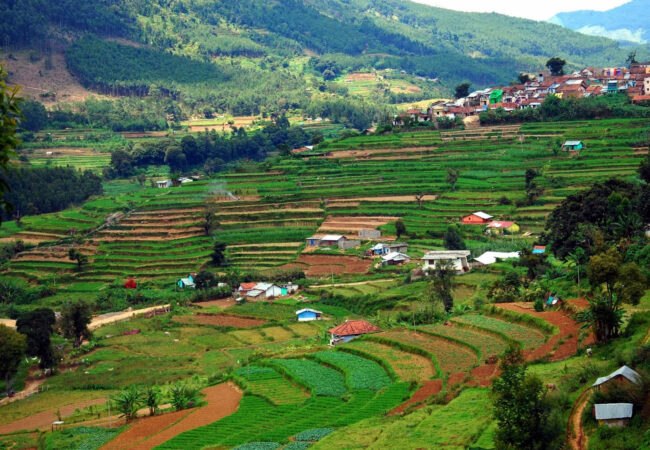 Vattavada Village Tour