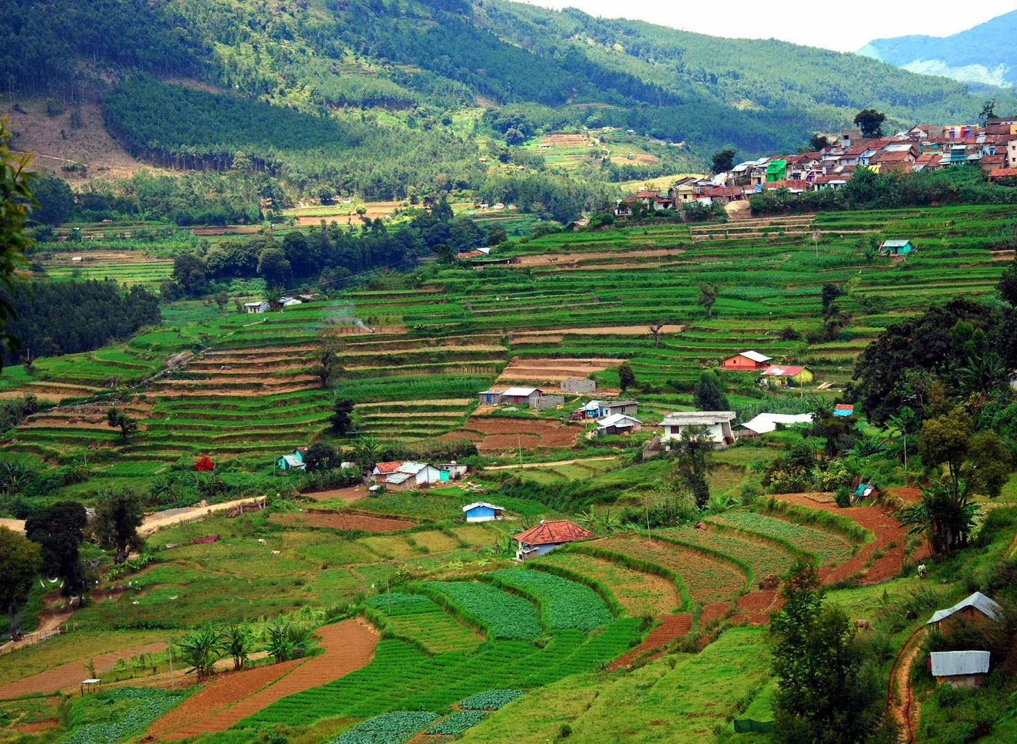 Vattavada Village Tour
