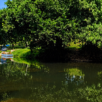 Places to Visit in Munnar