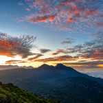 Places to Visit in Munnar