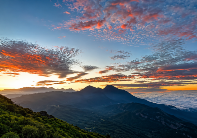 Places to Visit in Munnar